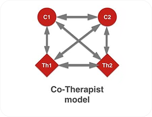 Co Therapist Model
